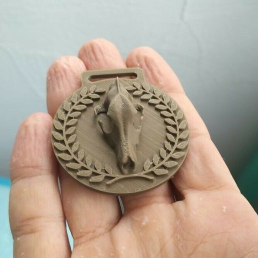 7b562e66-71fa-43bf-8a11-b67f06bdbd16.jpg Medalla Jugger