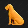 1251-Beagle_Pose_04.jpg Beagle Dog 3D Print Model Pose 04
