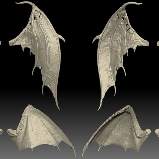 42.1.jpg 2 Paar Flügel 3D-Druckmodell