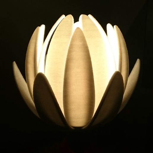 DSC_0555.JPG Flowerlamp Crown jewel