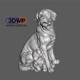 Labrador_with_puppy_2.JPG Labrador With Puppy (Dog Statue 3D Scan)