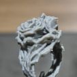 1000071082.jpg Stranger things Ring