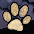 20220403_111201.jpg Dogs Paw Light Logo