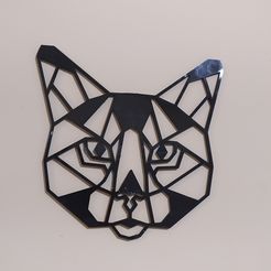 IMG_20210422_010138[1].jpg 3D Origami wall hanging - CHAT