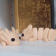 BÉBÉ AXOLOTL ARTICULÉ - EMPREINTE EN PLACE - SANS SUPPORT
