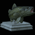 Bass-stocenej-9.png fish bass trophy statue detailed texture for 3d printing