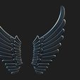 1.jpg wings 2