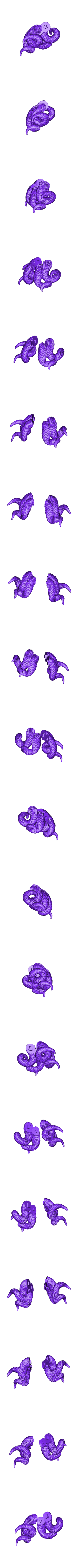 Female_horns_horns.stl 角のあるメス