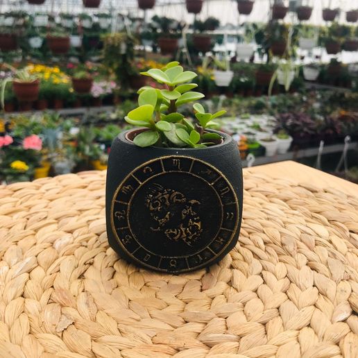 Zodiac Pisces Planter Pot 3D model