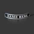 423a4742-8e7a-4c46-813c-98d8e956606e.png Customizable nameplate for miniatures + Blood bowl regular players and numbers