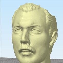0a4becdc-f5e9-4fc0-a18c-aa3e9a70ad86.jpg Free STL file MATT Freddie Mercury・3D printer design to download