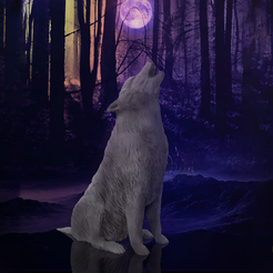 Wolf-in-the-woods.png Howling wolf