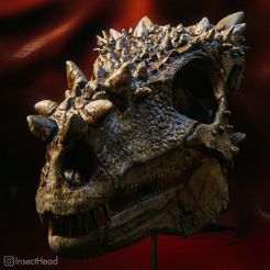 pachy5.jpg STL-Datei Junger Pachycephalosaurus (Dracorex) Schädel・3D-druckbare Vorlage zum herunterladen