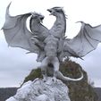 untitled.2984.jpg 2 Headed Dragon 3D model