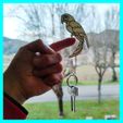 ROCKING PARROT KEY RING