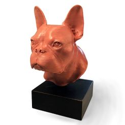 frenchie bust quarter view500px.jpg The Frenchie Bust  |  Foundation Series