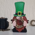 20230221_155119.jpg ST. PATRICK'S DAY GNOME COMBO PACK