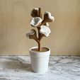cover.jpg Bloom, cotton pads/tips dispenser.