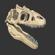 02.jpg Surophaganax fossilized skull