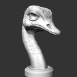 10.png Ostrich Head AM31 3D print model