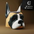 0001-0040_018.jpg 🐾 MATTE GERMAN BOXER DOG 🐾