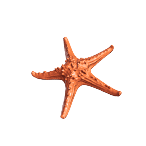 snapshot_p3d-(10).png Véritable étoile de mer 3d scan