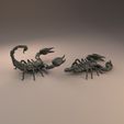 Emperor_scorpion_3.jpg 3D file Emperor scorpion for 3D printing - pre supported・3D print design to download