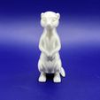 meerkat.front.view.jpeg Sculpture de suricate