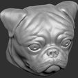 16.jpg Pug head for 3D printing