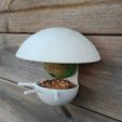 96519928cb83c8c02faa374491ff688d_display_large.jpg Free STL file Mushroom fat ball birdhouse feeder・3D print design to download