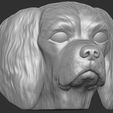 3.jpg Spaniel Cavalier dog head for 3D printing