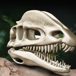cover.jpg The Dilophosaurus, 3D skull