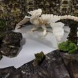 draga-6.jpg FUN KIT - Articulated Upright Dragon (No supports needed)