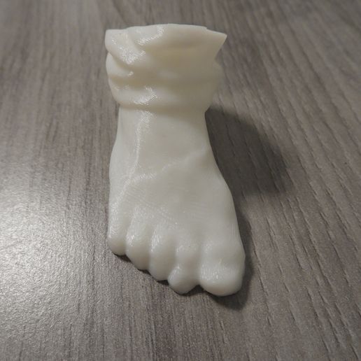 DSCN0503.JPG Download free OBJ file Foot (Scan) • 3D printable object, BODY_3D