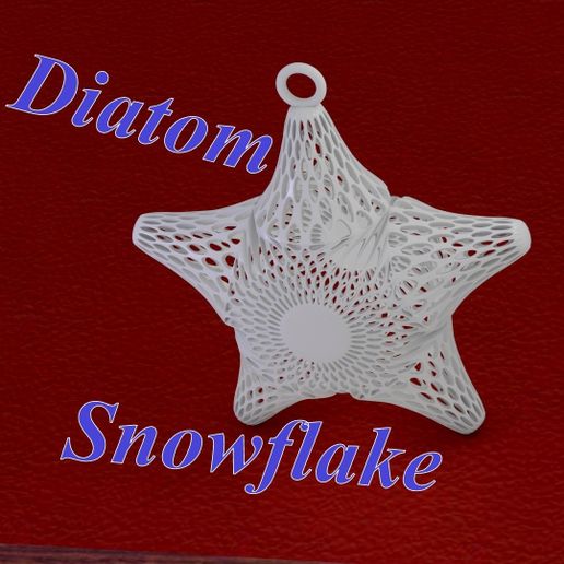 Diatom snowflake