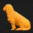 1051-Basset_Griffon_Vendeen_Petit_Pose_06.jpg Basset Griffon Vendeen Petit Dog 3D Print Model Pose 06