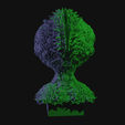 vid0269.png Alien Insectoid Bust