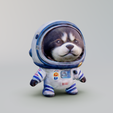 Captura-de-pantalla-2024-03-17-170803.png Astronaut puppy keychains