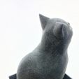 vertigo3.jpg Free STL file Schrodinky! British Shorthair Cat Sitting In A Box(single extrusion version)・3D printer design to download, loubie