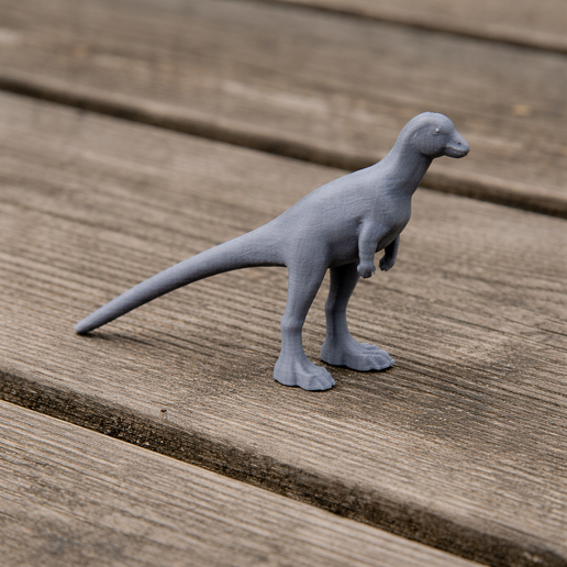 Airakoraptor