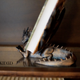 Screen-Shot-2024-11-26-at-10.26.51-AM.png Book Wyrm Display (Book & Tablet Version + Bonus Model)