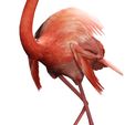 A13.jpg DOWNLOAD Flamingo 3D MODEL ANIMATED - BLENDER - 3DS MAX - CINEMA 4D - FBX - MAYA - UNITY - UNREAL - OBJ -  Flamingo DINOSAUR DINOSAUR Flamingo DINOSAUR BIRD