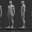 a2.jpg Male Anatomy Statue