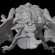19.jpg 3D Model of Pelvis with Neurovascular Supply