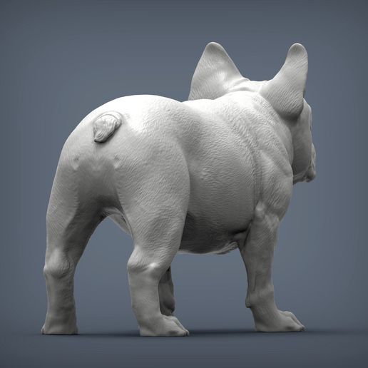 french-bulldog-6.jpg Archivo 3D Modelo de impresión en 3D de un Bulldog Francés・Objeto imprimible en 3D para descargar, akuzmenko