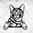 jnkjk.jpg bengal CAT WALL DECORATION WALL HOUSE PET MASCOT CAT DECO WALL DECORATION