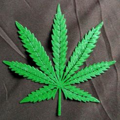 SAM_1518.JPG Hemp