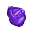heart_top.stl Menschliche Anatomie Torso Modell