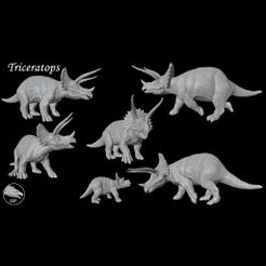TRICERA-MANADA-CUADRADA.jpg TRICERATOPS (Triceratops horridus)
