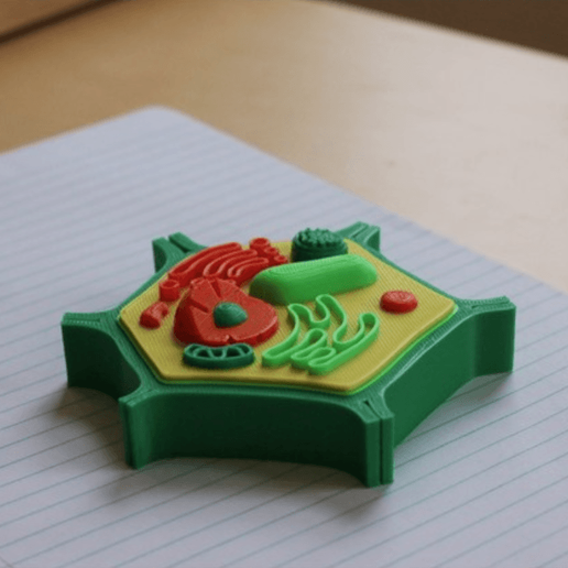 Capture d’écran 2018-03-02 à 10.28.27.png Multi-Color Mini Plant Cell